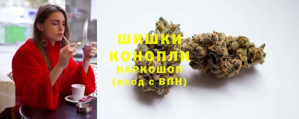 spice Арсеньев